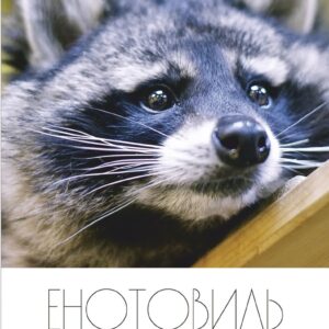 Календарь с енотами